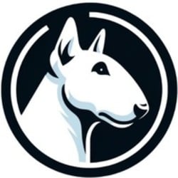 Bull Frog